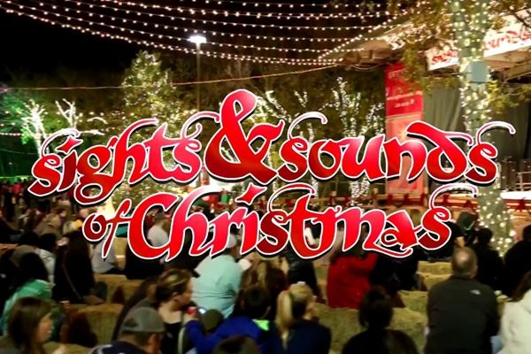 sights and sounds of christmas
